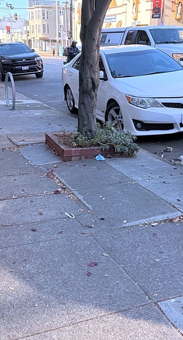 Sidewalk litter around a tree planter in the Mission, from the SF 311 record